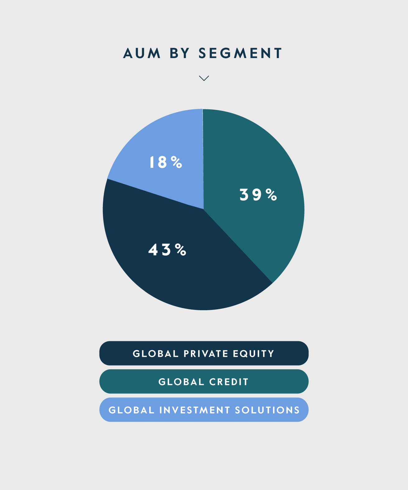 Our Firm - AUM By Segment